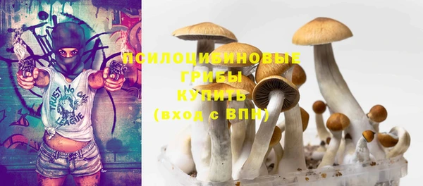 гидра Нефтекумск