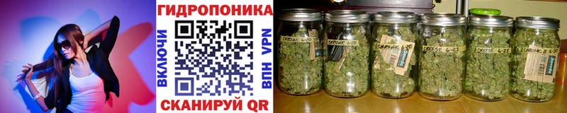 Бошки Шишки тримм  Обоянь 